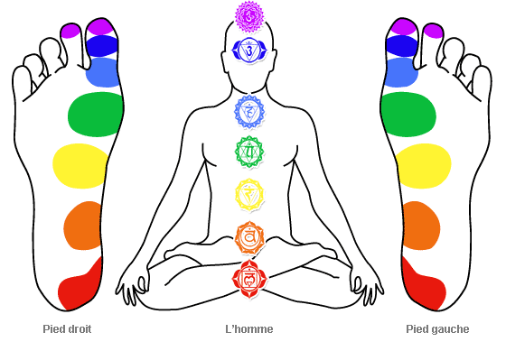 7 Chakras